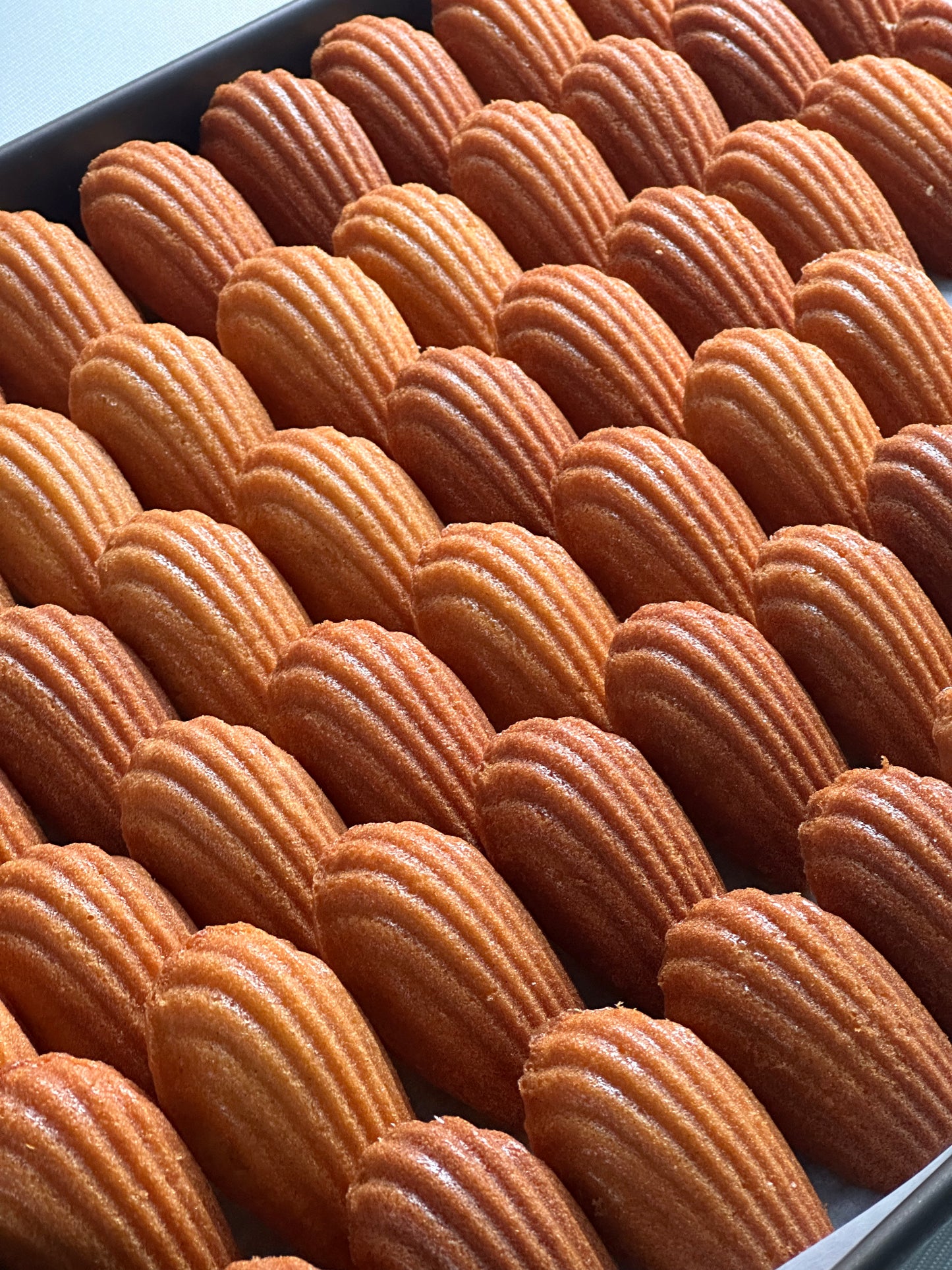 CANDIED ORANGE MADELEINE